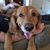 Ward N Becky Strayer's profile image