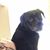 Tammy Kelly's profile image