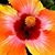 Betty Lueders's profile image