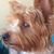 Delores Haynes's profile image