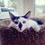 Monica Shelton's profile image