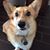 Susan Greenwood Hickerson's profile image