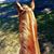 Cindy Koleski's profile image