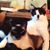 Karen Peterson's profile image