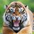 James Dunfee's profile image