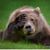 Mark Stoffer's profile image
