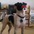 Lori Benson's profile image