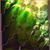 D'hana Bay Timberlake's profile image