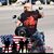 Dingo Geno's profile image