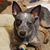 Kimberly Kessinger Welfl's profile image