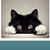 Sandra Luz Torres's profile image