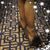 Mycah Chevalier's profile image