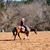 Nicole Marie Moore's profile image