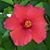 Juana Laloca's profile image