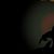 Jonathon Torweihe's profile image