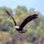Donna M Kubas's profile image