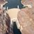 Affordable Vegas Tours's profile image