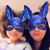 Tara T. Carroll's profile image