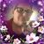 Penny Guynn's profile image