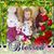 Sherry Wilber's profile image