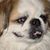Jane Lynch's profile image