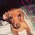 Laurie Ann's profile image
