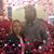 Paula Cline Smith's profile image
