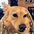 Tanya Kost Doyscher's profile image