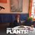 Fran Costigan's profile image