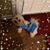 Kathy Forester Lamon's profile image