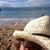 Deb Huber Lisk's profile image