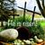 Brandy Godin's profile image
