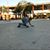 Jose Rodriguez Hernandez's profile image