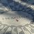 Laura Horning-Kloewer's profile image