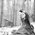 Terri Voelker's profile image