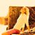 Steffi Albert's profile image