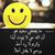 Moamen Anwar's profile image