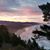 Milinda VanLoan's profile image