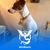 Mike Williams's profile image