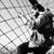 Tucamote Malandro's profile image
