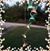 Katie Cunningham's profile image