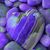 Sharae Allison Evans's profile image