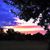Beverly Burgess Williams's profile image