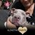 Dea Hartfield's profile image