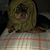 Daniel Morraz's profile image