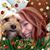 Eva King Hamrick's profile image