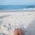 Mary C. Harmon's profile image