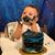 Tanya Weil Hamann's profile image