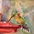 Elizabeth Thoms Twombly's profile image