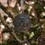 Heather Hollins Hickey's profile image